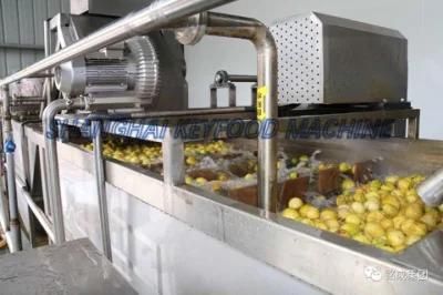 Fully-Automatic Concentrated Fruit Juice Production Plant