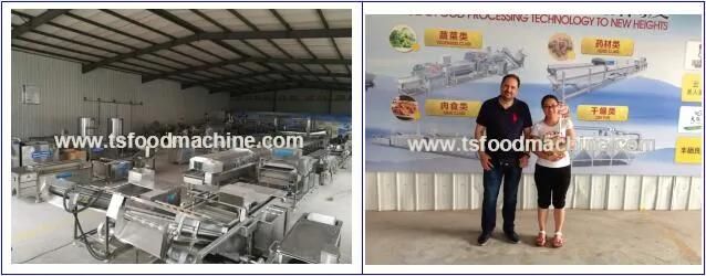 Industrial Plantain Chips, Potato Chips Continuous Frying Machine