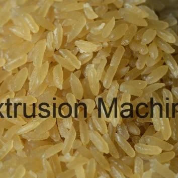 Nutrition Fortificated Rice Process Line/Nutritional Artificial Rice Produce Plant Made in China