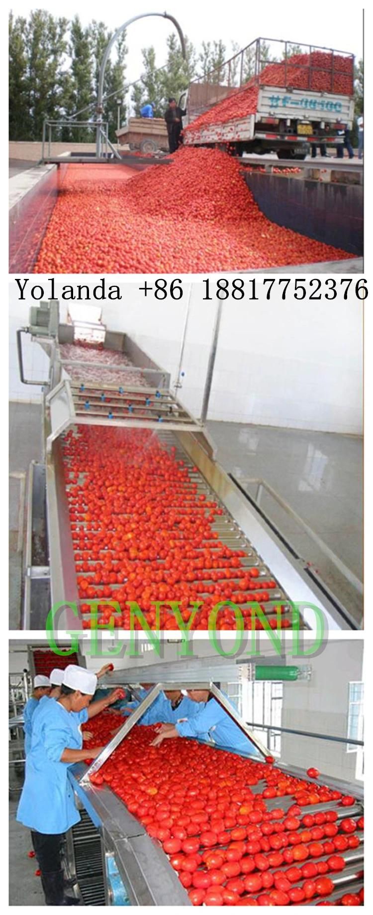 Advanced Concentrated Tomato Paste Making Machine