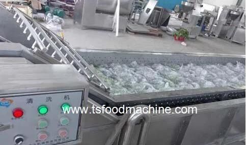 Vegetable Bubble Washing Machinery Salad Washing Machine