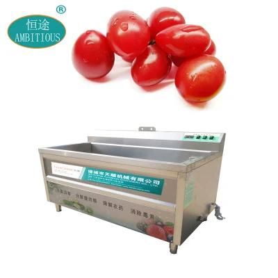 Washing Machinery for Fruit Vegetables Kitchen Tomato Washing Machine