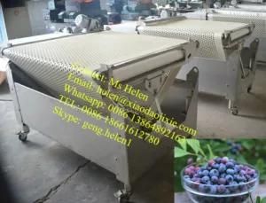 Automatic Cherry Potato Sorting Machine/ Blueberry Grading Line