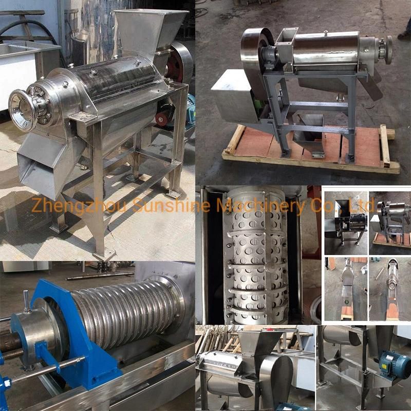 Industrial Juice Extractor Machine Pineapple Apple Mango Juice Machine