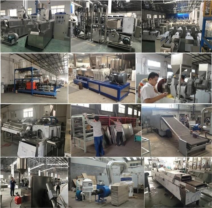 High Quality High Capacity Flake Fish Food Production Line