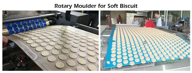 Automatic Hard Biscuit Complete Production Line/Baking Machine/Dough Mixer