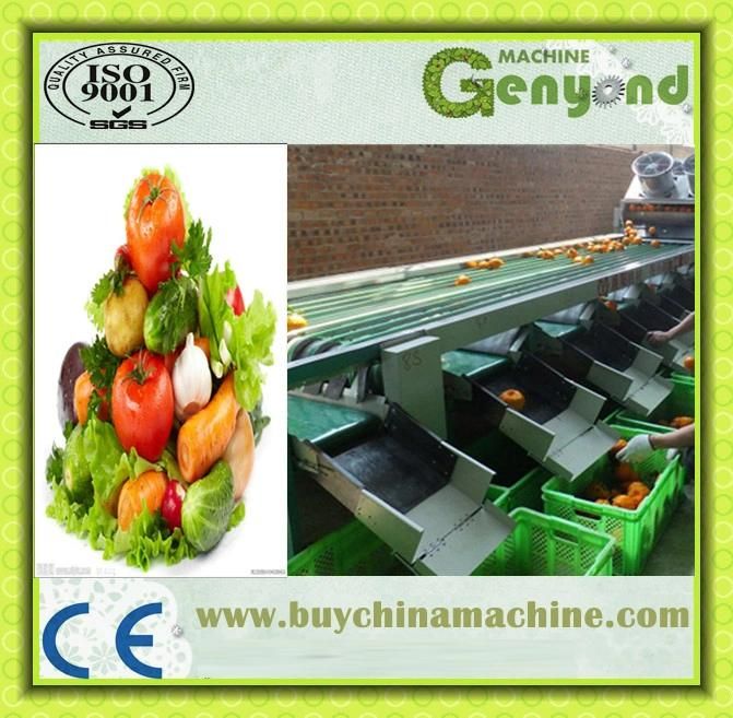 Orange Washing Waxing Sorting Machine Line