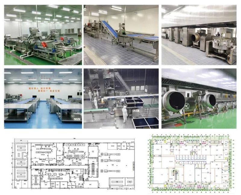 Automatic Vegetable Salad Production Line Processing Machinery