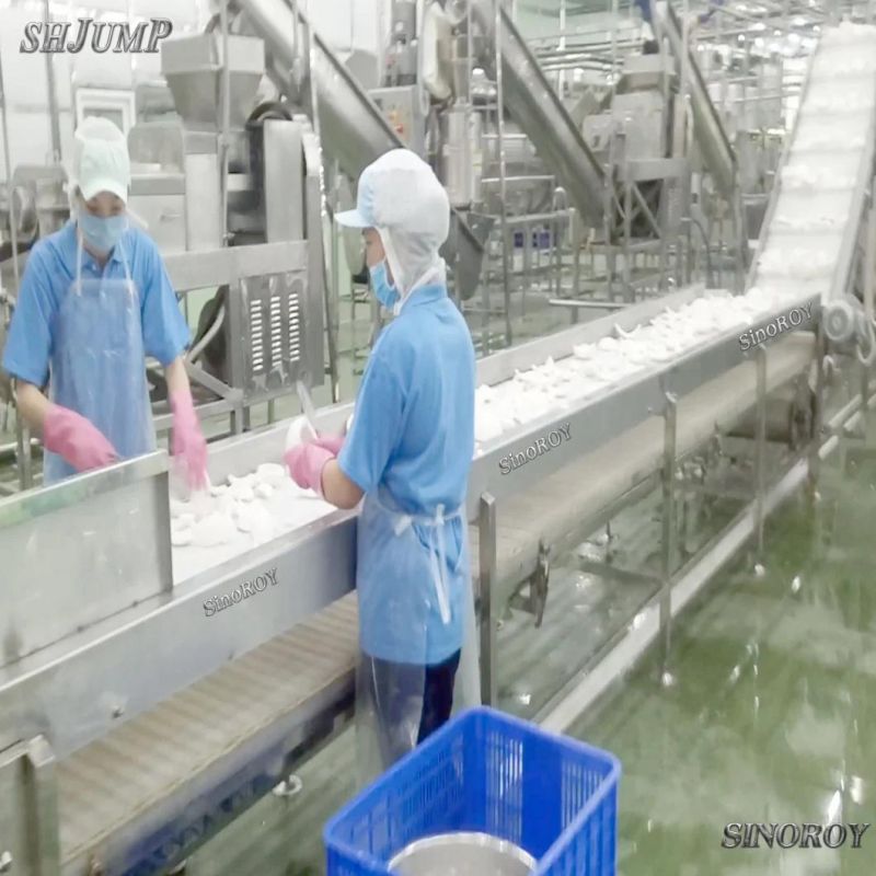 5-10 Tons Per Hour Coconut Milk Processing Line Coconut Cream Processing Line Coconut Water Processing Line