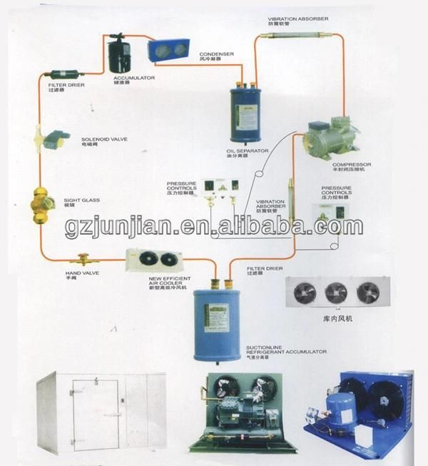 Customized Commercial Small Frozen Cold Storage Room for Meat, Beaf, Fish, Shrimp, Fruits, Vegtable, Seafood