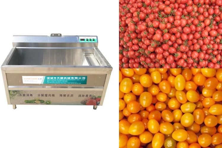 Washing Machinery for Fruit Vegetables Kitchen Tomato Washing Machine