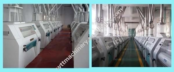 Large Scale Corn Maize Wheat Grain Flour Making Grinding Milling Plant