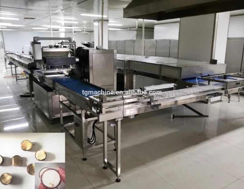 Best Priced Chocolate Moulding Line Chocolate Making Machine