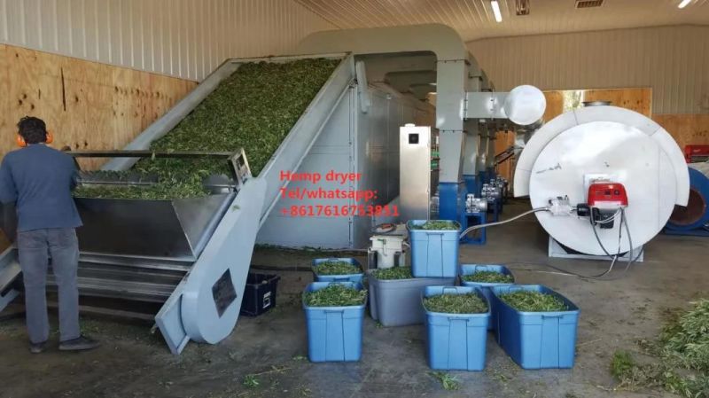 10meter 5layers Automati Herbs Continuous Mesh Belt Dryer