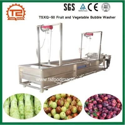 High Pressure Automatic Washing Equipment, Tsxq-50 Fruit and Vegetable Bubble Washer