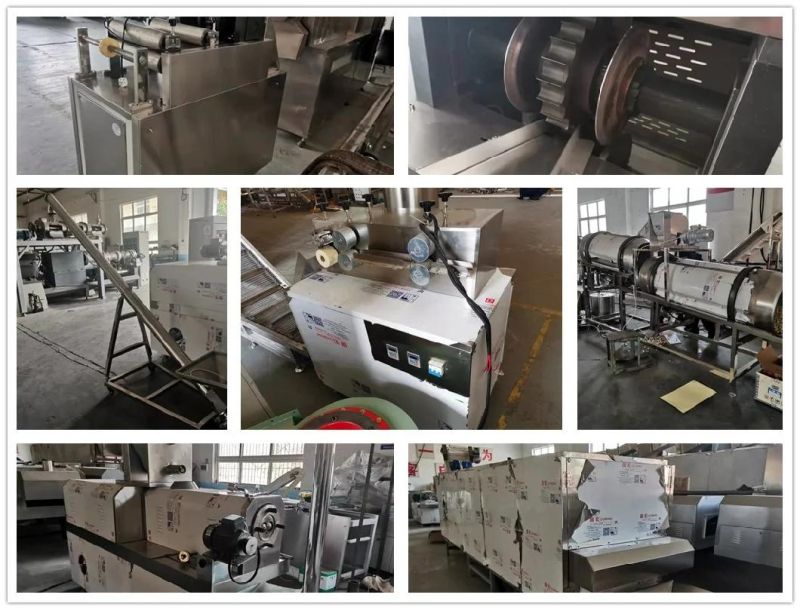 Kurkure Extruder Cheetos Crunchy Nik Naks Snack Making Machine Processing Machine Manufacturing Plant Equipment