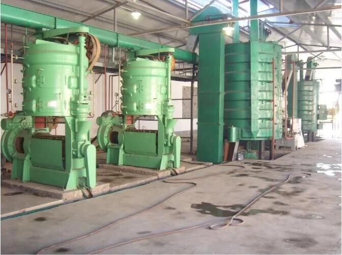 Screw Oil Press Machine Soybean Oil Plant Cottonseeds Oil Expeller