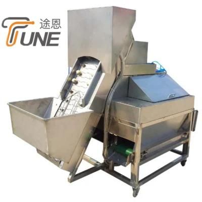 Fully Automatic Three Conveyor Belt Onion Peeling and Cutting Machine