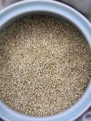 Brand New Quinoa Milling Machinery Auto Rice Mill Machine Quinoa Processing