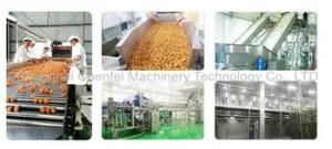 Mango Pineapple Vegetable Fruit Juice Production Line