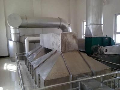 2020 Vacuum China Top Salt Making Machine