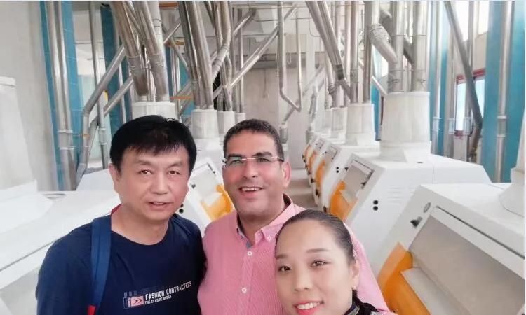 200t/24h Egypt Wheat Flour Milling Plant with European Standard