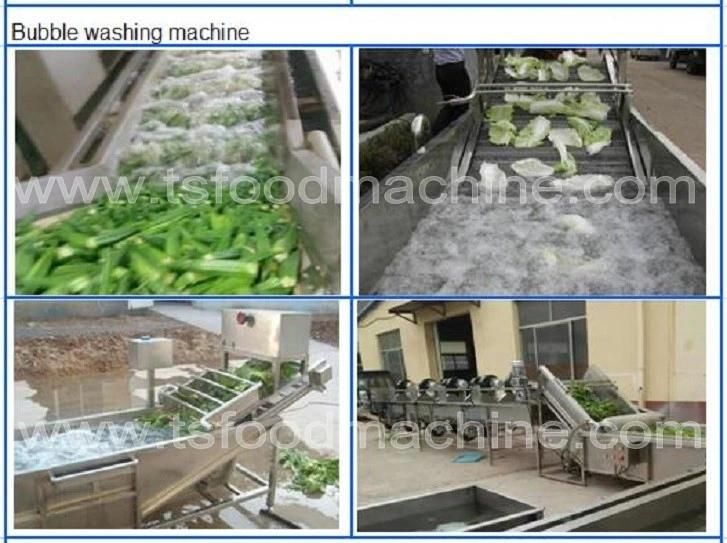 Industrial Bag Food Products Bubble Washing Machine