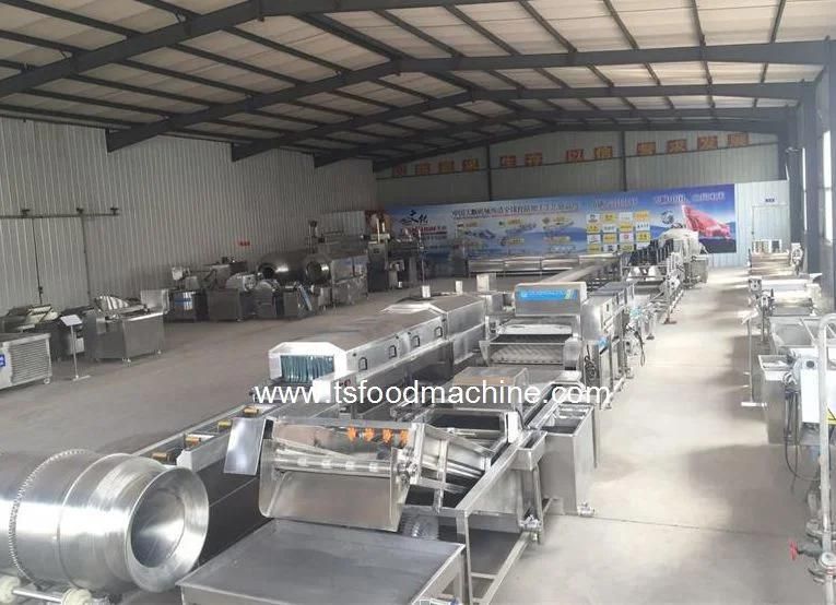 Vegetable Washing Machine Manufacturers