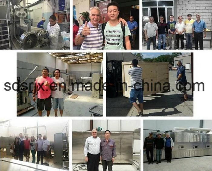 Puffed Cereals Basing Non-Fried Snack Food Processing Line Machinery