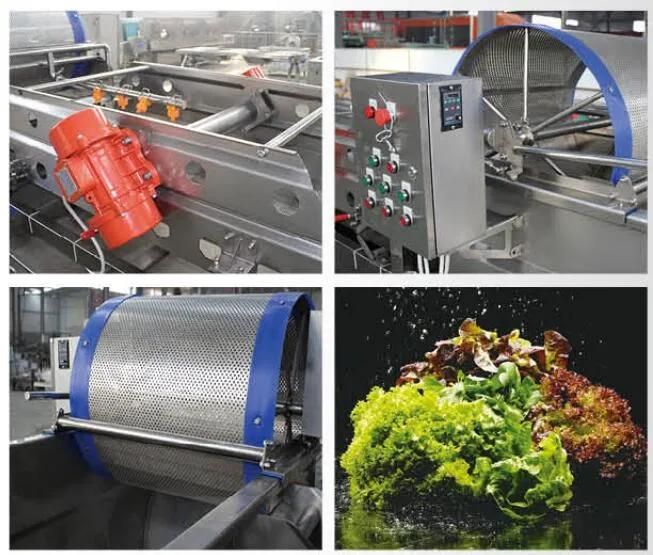 Industrial Complete Automatic Fresh Leaf Vegetables Processing Machine Line with Cutting Washing and Drying Equipment