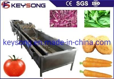 Fruit Processing Line Vegetables Fruits Air Bubble Washer