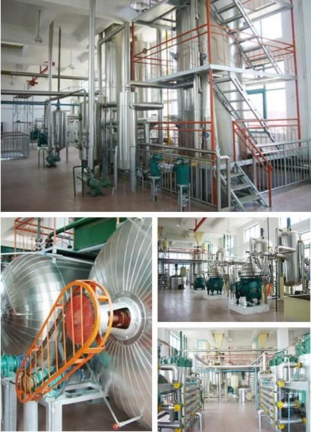 Rbo Extract Mill Equipment to Make Edible Rice Bran Oil