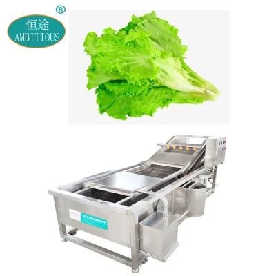 Restaurant Kitchen Hotel Small Vegetable Washing Machine High Pressure Lettuce Bubble ...