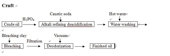 100t Rice Bran Oil Production Line in Bangladesh Rice Ban Oil Making