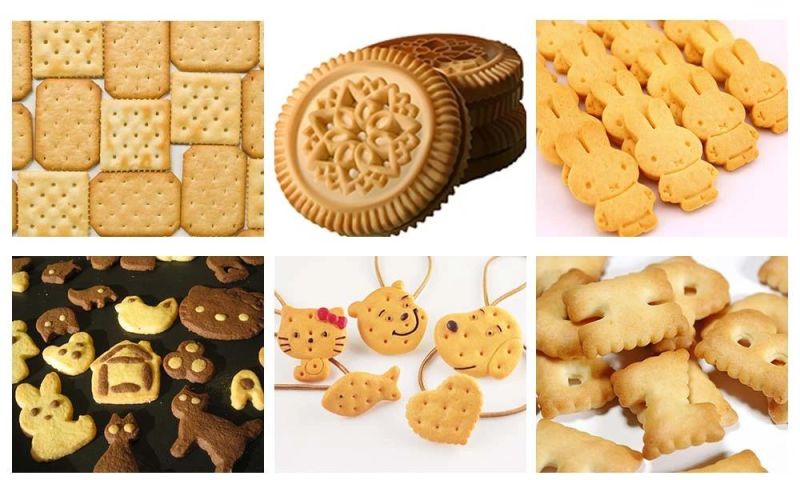 Industrial Biscuit Production Line Delicious Biscuit Making Machine Biscuit Processing Equipment