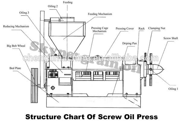 6yl-120 Vegetable Oil Making Machine for Cooking Oil Processing Machine