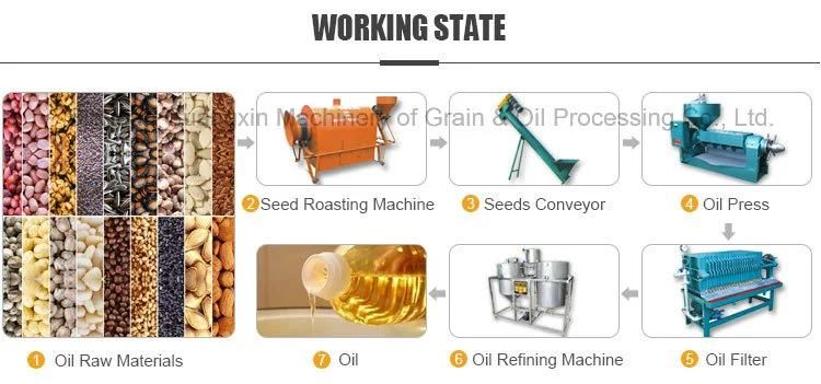 830kg Per Hour Vegetable Oil Cotton Seed Oil Press