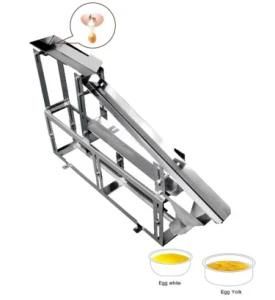 Egg Yolk and White Separator for The Processing of Eggs