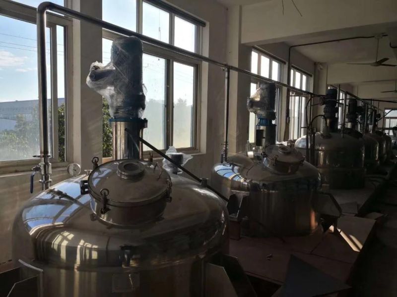 Pharmaceutical Stainless Steel Fermentation Tank with Agitator