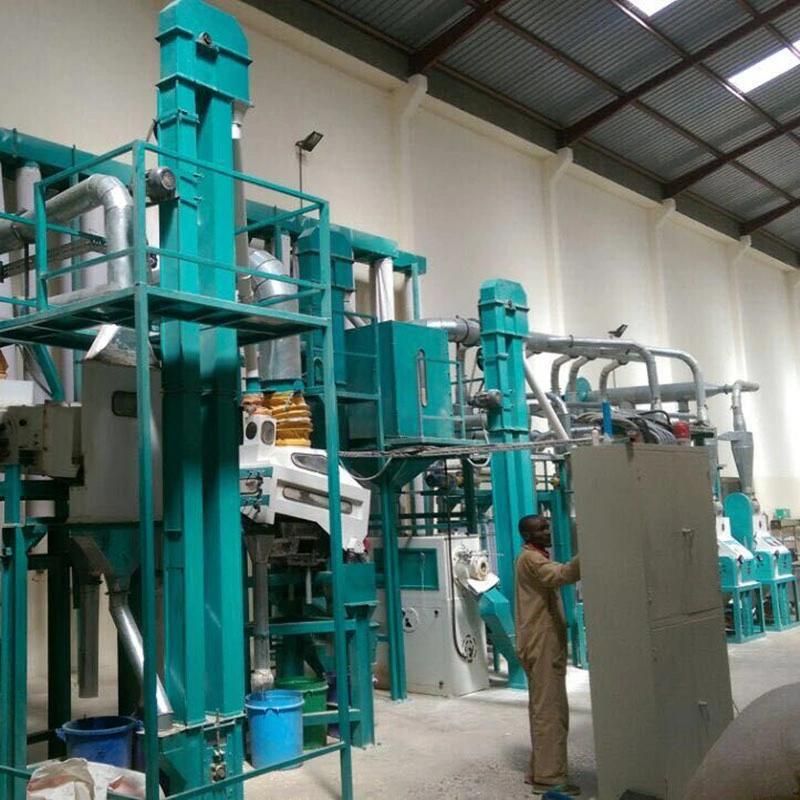 30t Per Day Maize Flour Machines for Kenya