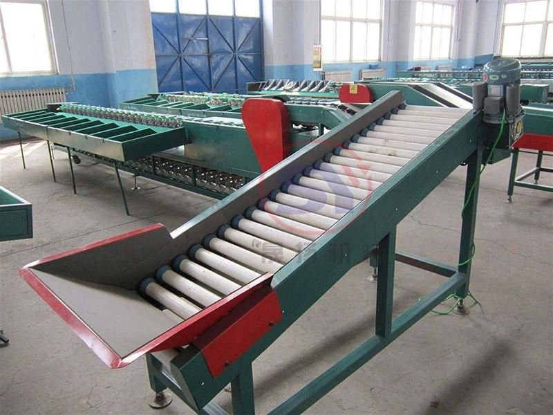 Digital Weighing Scale Machine for Vegetable Sorting Grading Process