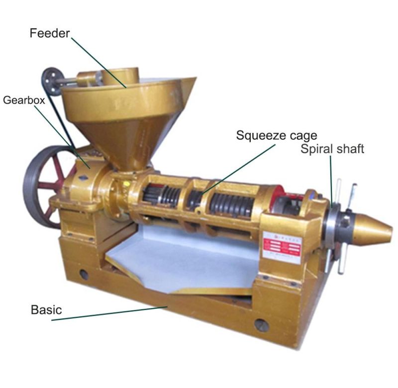 Big Capacity Oil Press Machinery for Rapeseed