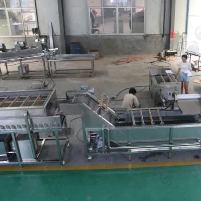 Orange Citrus Vegetable Washing Slicing Drying Line with Factory Price