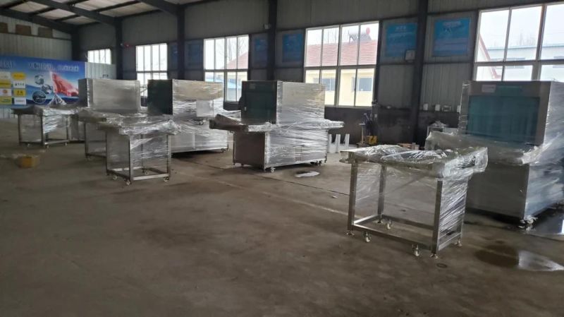 Bags Vegetables Sanitising Tunnel, Bags Sterilizing Machine