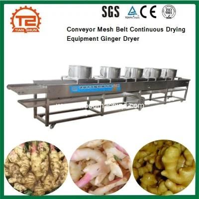 Conveyor Mesh Belt Continuous Drying Equipment Ginger Dryer