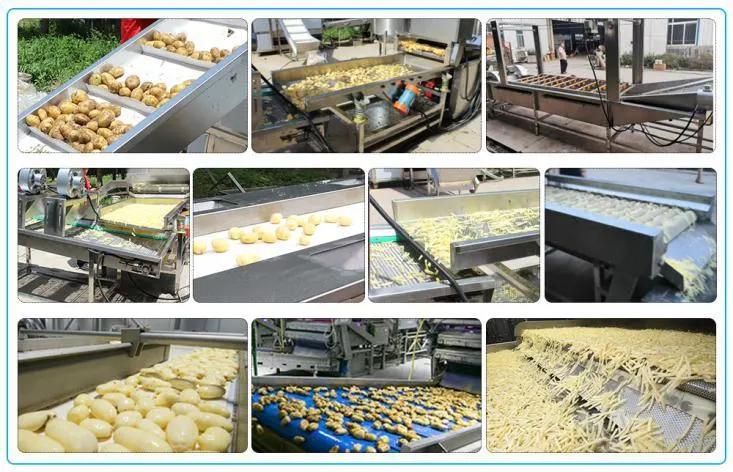 Hot Sale French Fries Making Machine Potato Chips Equipment