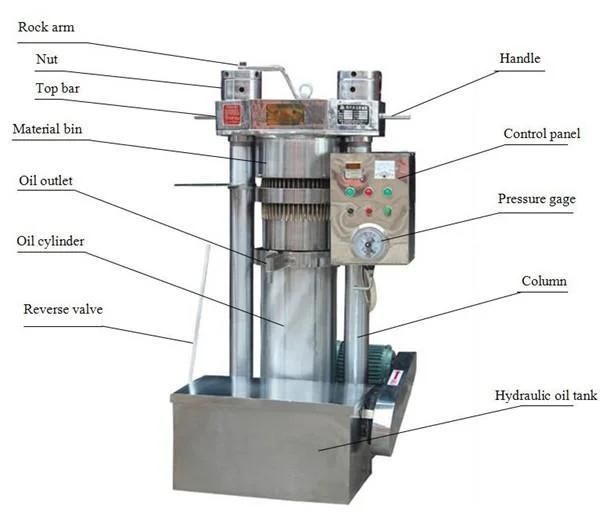 Almond Hydraulic Oil Press