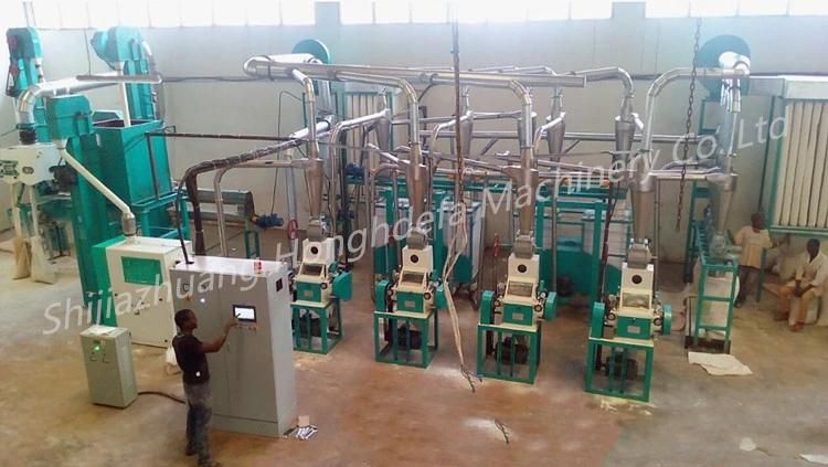 Automatic Complete Grain Processing Line 20t/24h Maize Milling Machine Price