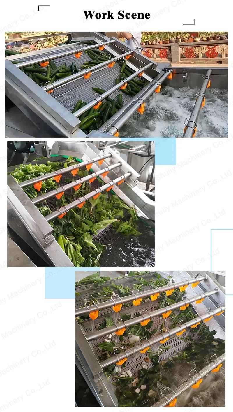 Industrial Leafy Vegetable Cleaning Machine Fruit Washer