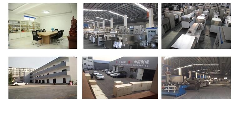 Instant Rice Porridge Making Machine Manufacturers Fortified Rice Machine Processing Line